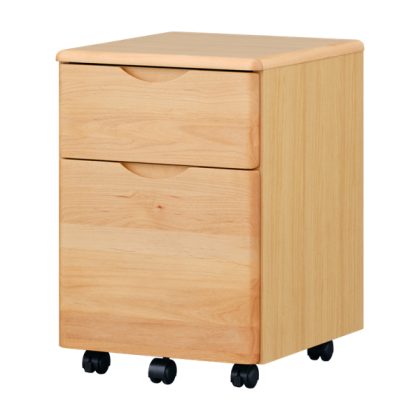 10258828_ashi_wagon_na_2